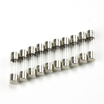 Euromex [AE.5227] - Glaszekeringen 1 A 250 V, 10 stuks