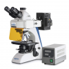 Categorie Fluorescentiemicroscopen image